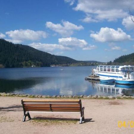 House With Terrace Near The Lake Gérardmer Esterno foto